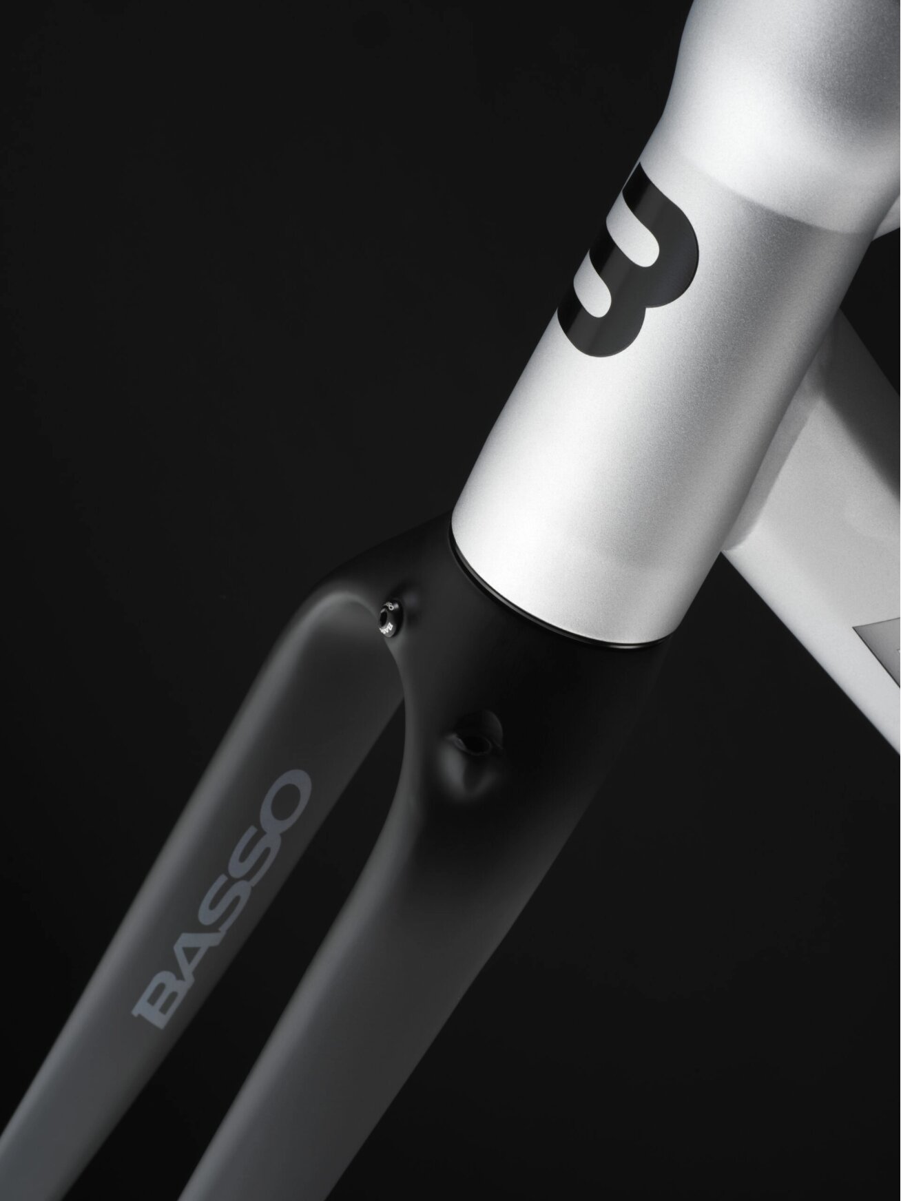 Basso Tera Gravel / SHIMANO GRX 610 1x12 / Microtech MX 25 / Silver Gravel dviratis 3 Basso Tera Gravel / SHIMANO GRX 610 1x12 / Microtech MX 25 / Silver Gravel dviratis 3