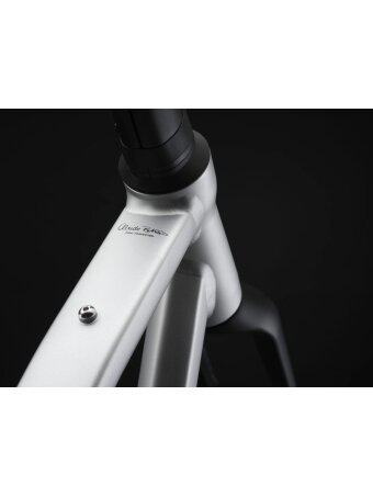 Basso Tera Gravel / SHIMANO GRX 610 1x12 / Microtech MX 25 / Silver Gravel dviratis