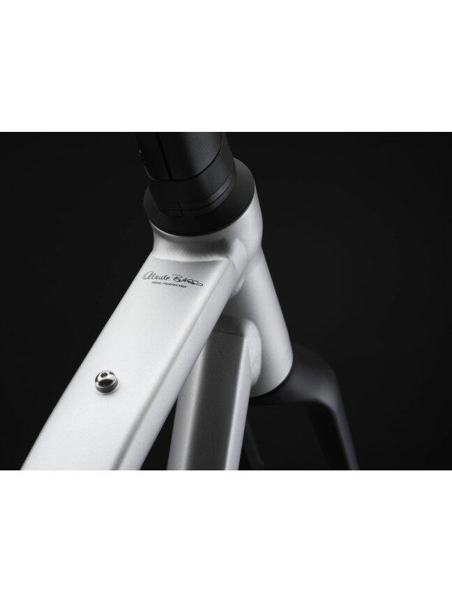 Basso Tera Gravel / SHIMANO GRX 610 1x12 / Microtech MX 25 / Silver Gravel dviratis 1 Basso Tera Gravel / SHIMANO GRX 610 1x12 / Microtech MX 25 / Silver Gravel dviratis 1