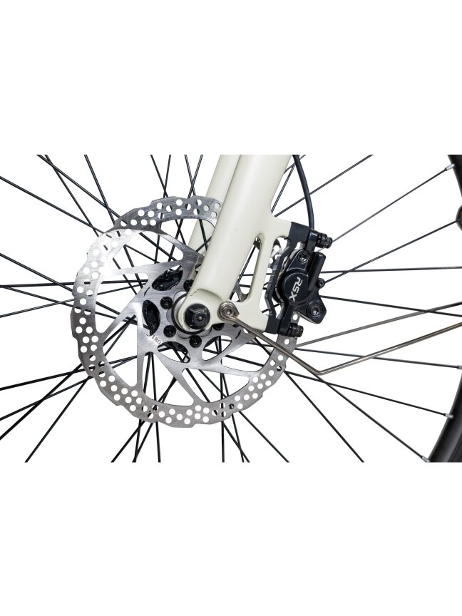 Elektrinis miesto dviratis MS ENERGY eBike c40 4