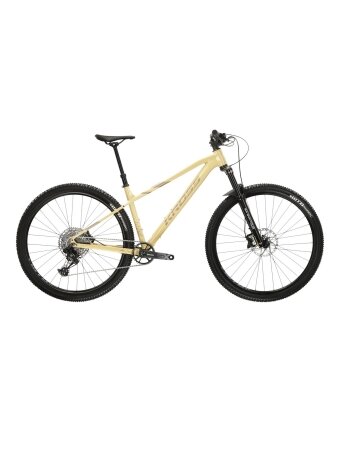 KROSS Level 6.0 D bei-bro g moteriškas kalnų (MTB) dviratis (29")