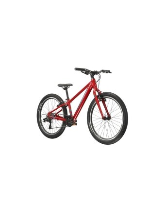 KROSS Level JR 1.0 red-tea g vaikiškas dviratis (24")