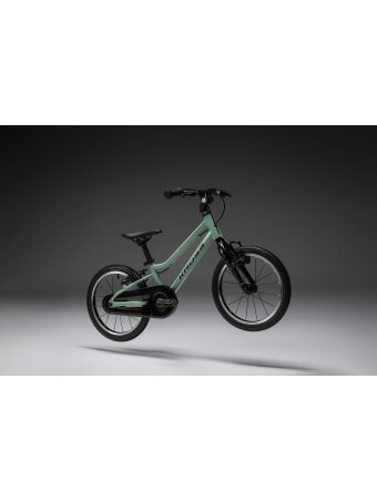 KROSS Liftie 16 U / Green - Black Matte / vaikiškas dviratis (16")