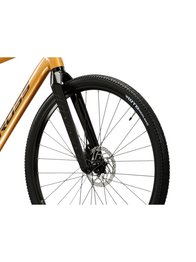 KROSS Esker 5.0 MY25 / Gold-Graphite Gloss / gravel dviratis (28'') 5 KROSS Esker 5.0 MY25 / Gold-Graphite Gloss / gravel dviratis (28'') 5