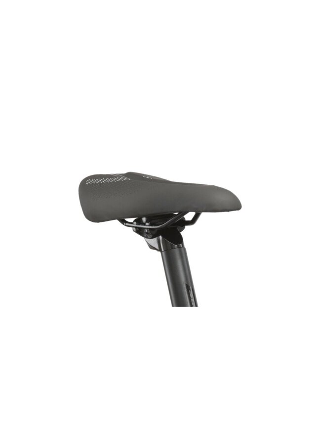 KROSS Hexagon Boost 3.0 576 Wh sil-bla g elektrinis kalnų (MTB) dviratis (29") 13