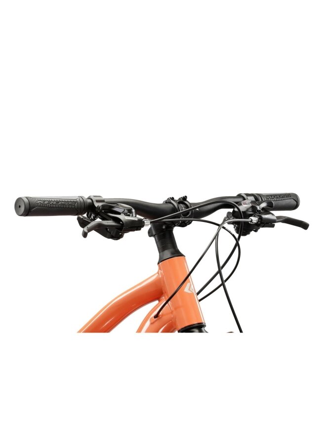 KROSS Lea 2.0 D pin-sil g moteriškas kalnų (MTB) dviratis (27.5") MY25 7