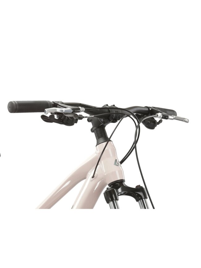KROSS Lea 3.0 D pin-gry g moteriškas kalnų (MTB) dviratis (29") 7