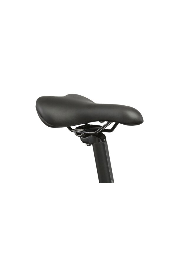 KROSS Lea 4.0 D pur-sil m moteriškas kalnų (MTB) dviratis (27.5") 12