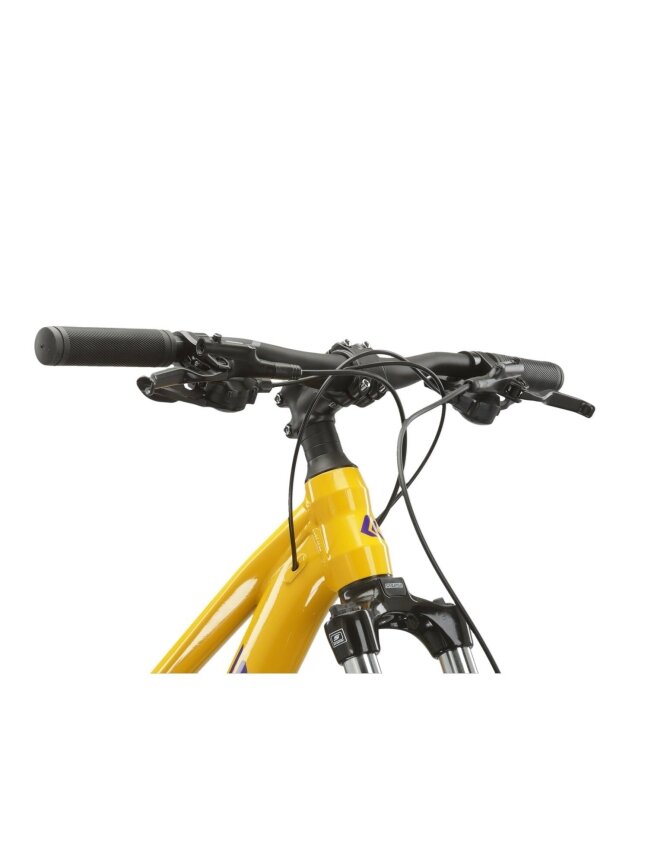 KROSS Lea 4.0 D yel-pur g moteriškas kalnų (MTB) dviratis (29") 7 KROSS Lea 4.0 D yel-pur g moteriškas kalnų (MTB) dviratis (29") 7