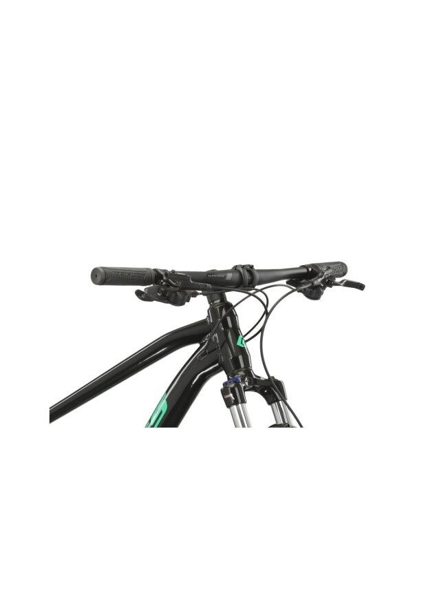 KROSS Level 1.0 bla-gre g kalnų (MTB) dviratis (29") N 10