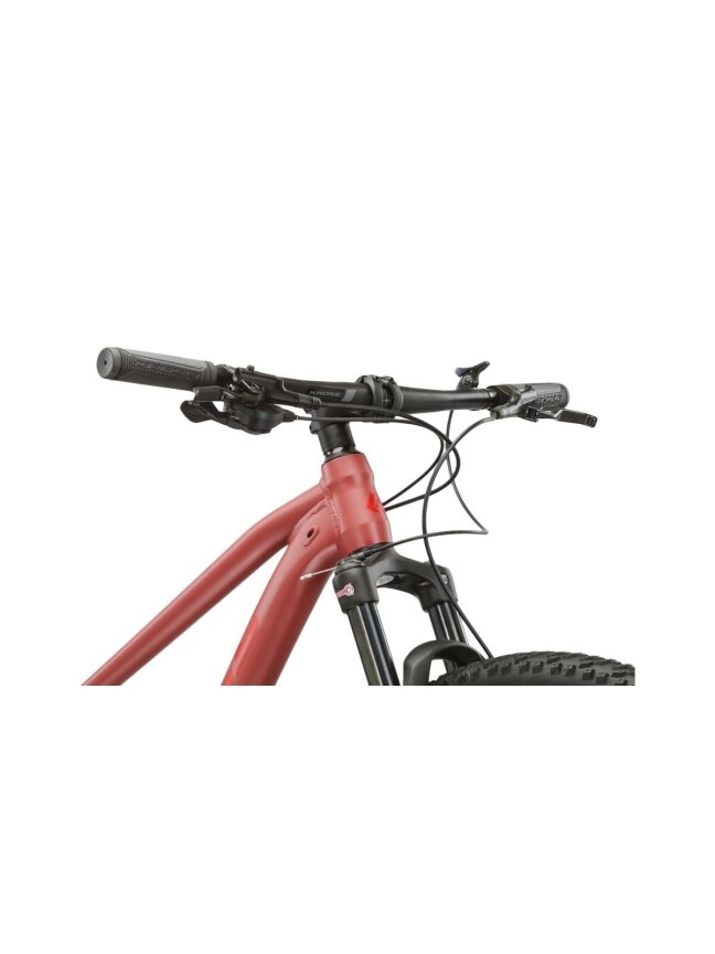 KROSS Level 4.0 D cla-cla m moteriškas kalnų (MTB) dviratis (29") 7