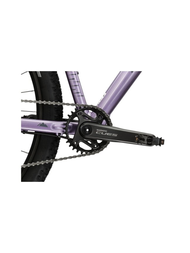 KROSS Level 4.0 D pur-dpu g moteriškas kalnų (MTB) dviratis (29") 10