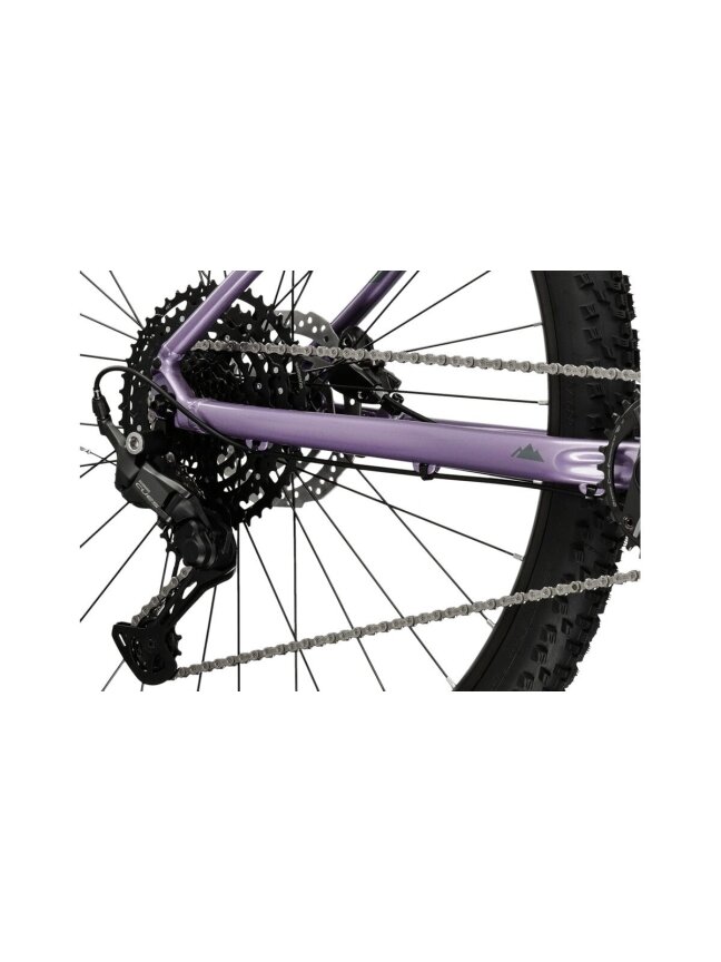 KROSS Level 4.0 D pur-dpu g moteriškas kalnų (MTB) dviratis (29") 9