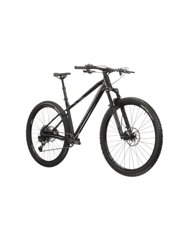 KROSS Level 6.0 bla-gry g kalnų (MTB) dviratis (29") 1 KROSS Level 6.0 bla-gry g kalnų (MTB) dviratis (29") 1