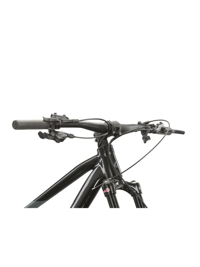 KROSS Level 6.0 bla-gry g kalnų (MTB) dviratis (29") 7