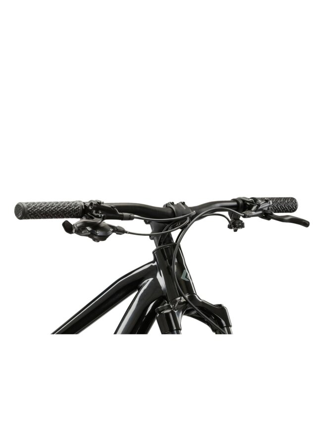 KROSS Level 6.0 bla-gry g kalnų (MTB) dviratis (29") 4 KROSS Level 6.0 bla-gry g kalnų (MTB) dviratis (29") 4