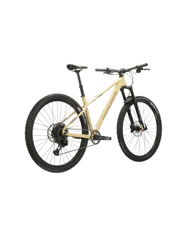 KROSS Level 6.0 D bei-bro g moteriškas kalnų (MTB) dviratis (29") 2