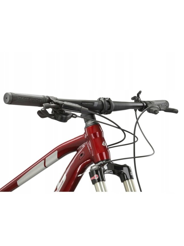 KROSS Level 6.0 PW SS rub-sil g kalnų (MTB) dviratis (29") 6