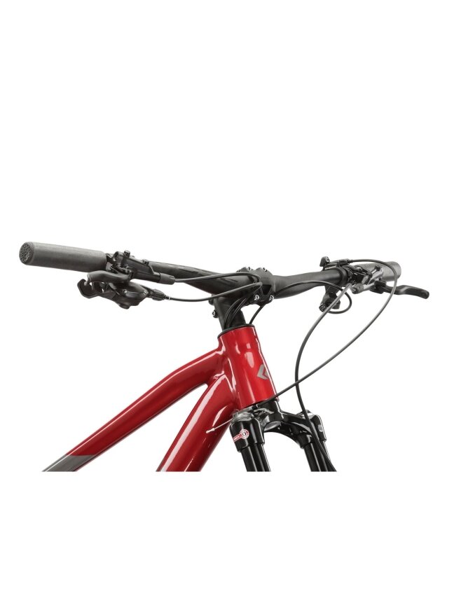 KROSS Level 6.0 red-gry g kalnų (MTB) dviratis (29") 7