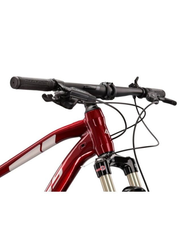 KROSS Level 6.0 rub-sil g kalnų (MTB) dviratis (29") 8 KROSS Level 6.0 rub-sil g kalnų (MTB) dviratis (29") 8