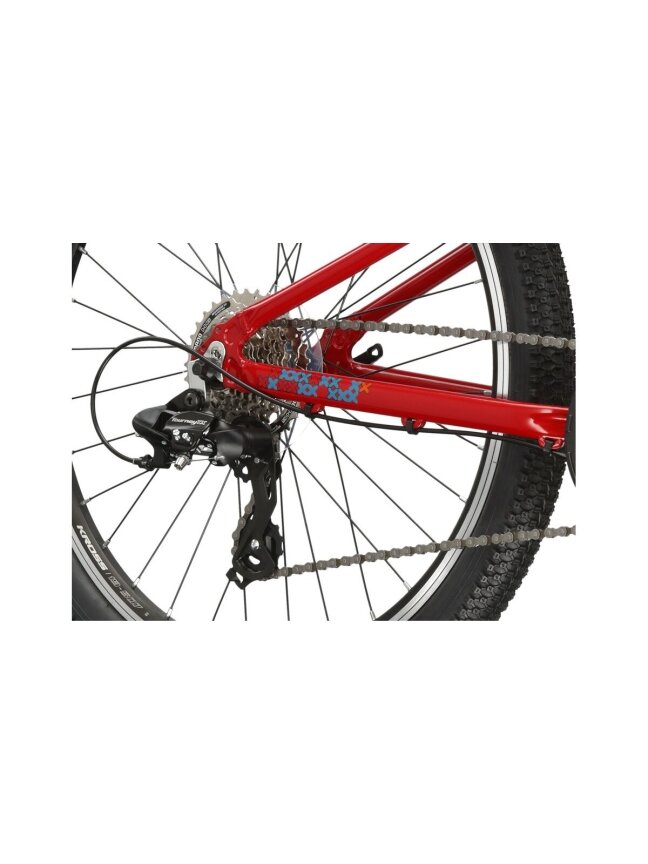 KROSS Level JR 1.0 red-tea g vaikiškas dviratis (24") 5