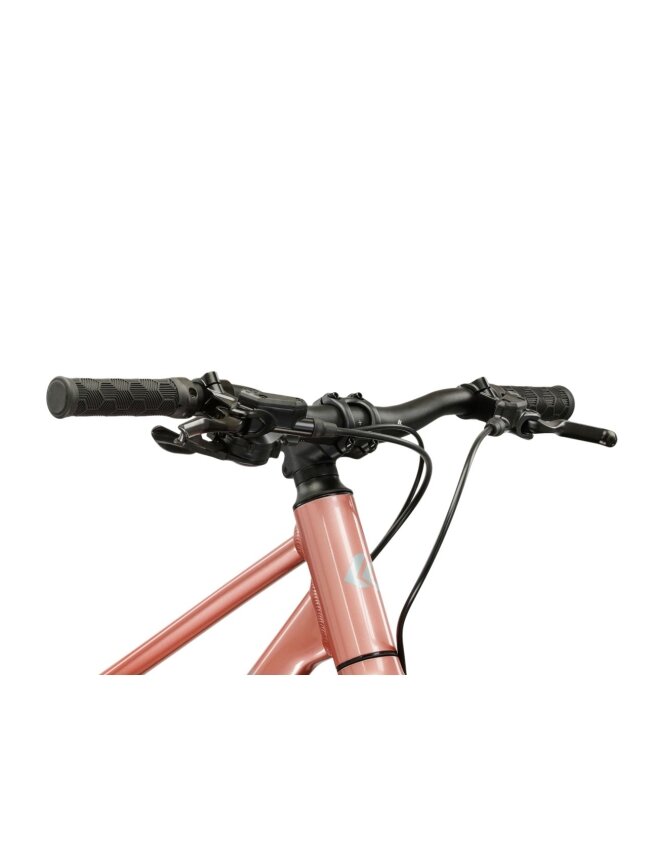 KROSS Liftie 20 X MY26 / Pink-Grey Gloss / lengvas vaikiškas dviratis (20") 6