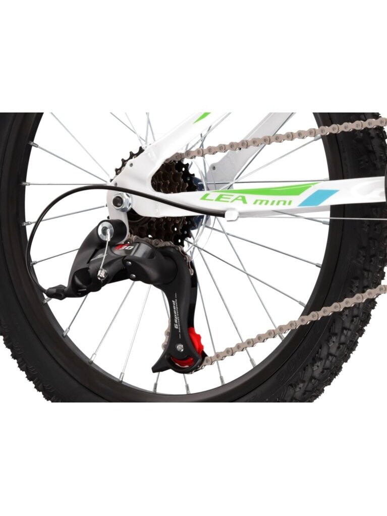 KROSS Lea Mini 2.0 SR whi-blu-gre g Vaikiškas kalnų dviratis (20") 4