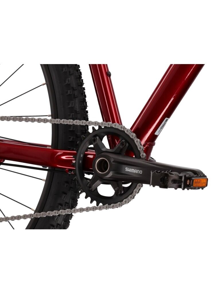 KROSS Level 6.0 rub-sil g kalnų (MTB) dviratis (29") 4