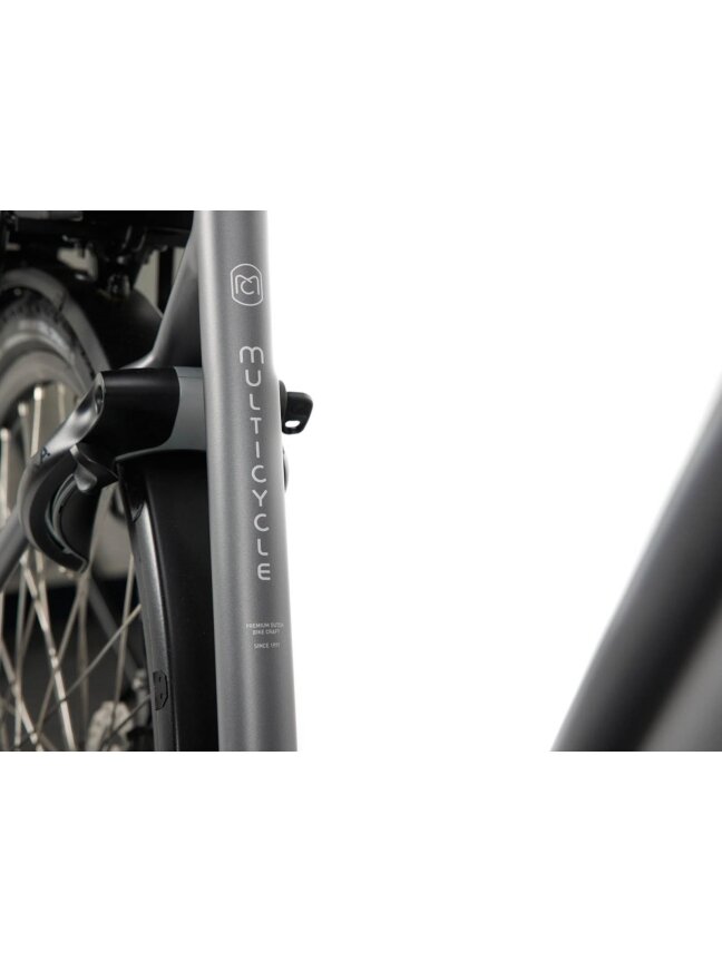Multicycle Solo EMI D Dark Iron Grey Satin moteriškas elektrinis dviratis 6 Multicycle Solo EMI D Dark Iron Grey Satin moteriškas elektrinis dviratis 6