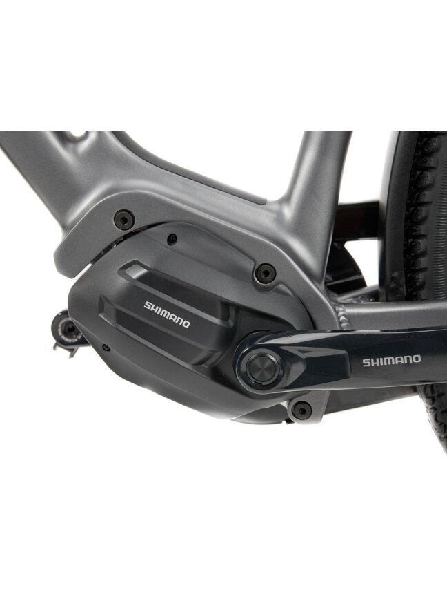 Multicycle Solo EMI D Dark Iron Grey Satin moteriškas elektrinis dviratis 7