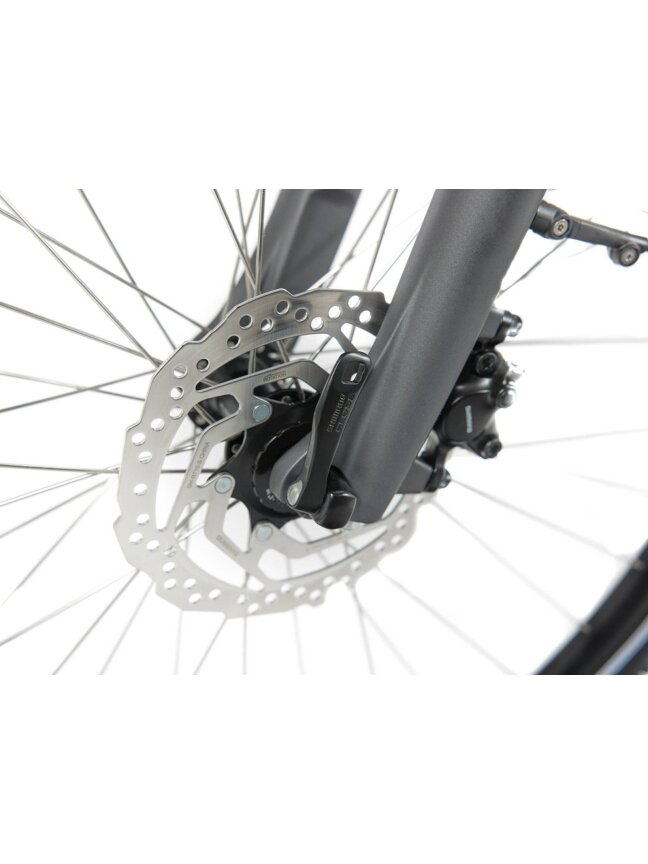 Multicycle Solo EMI D Dark Iron Grey Satin moteriškas elektrinis dviratis 9 Multicycle Solo EMI D Dark Iron Grey Satin moteriškas elektrinis dviratis 9