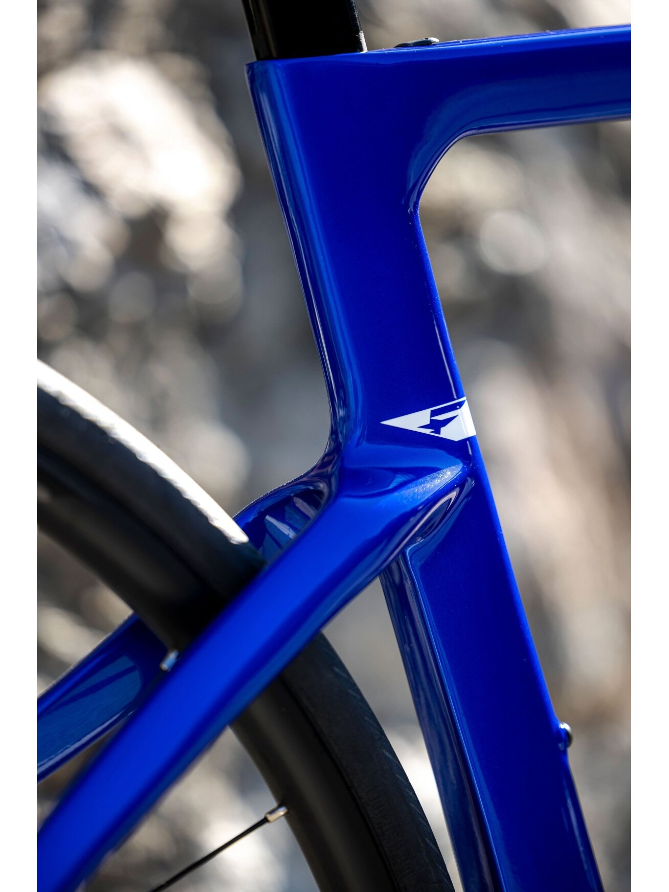 Pinarello F1 Disc / SHIMANO 105 2x12 / SHIMANO WH-RS171 / Formula Blue / plento dviratis (28") 7 Pinarello F1 Disc / SHIMANO 105 2x12 / SHIMANO WH-RS171 / Formula Blue / plento dviratis (28") 7