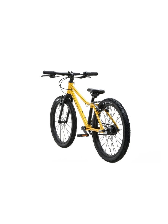 RASCAL 20 / Gold vaikiškas dviratis (20") 2