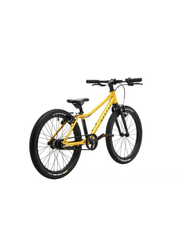 RASCAL 20 / Gold vaikiškas dviratis (20") 3